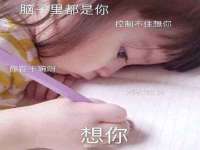 上海市杨浦区李浩浩农产品经营部