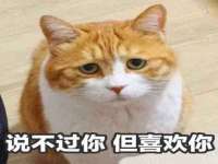 上海市杨浦区李浩浩农产品经营部