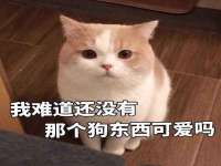 上海市杨浦区李浩浩农产品经营部