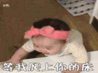 上海市杨浦区李浩浩农产品经营部