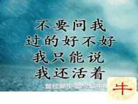 上海市杨浦区李浩浩农产品经营部
