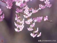 上海市杨浦区李浩浩农产品经营部