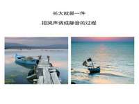 上海市杨浦区李浩浩农产品经营部
