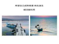 上海市杨浦区李浩浩农产品经营部