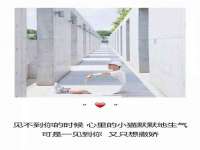 上海市杨浦区李浩浩农产品经营部