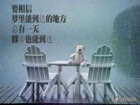 上海市杨浦区李浩浩农产品经营部