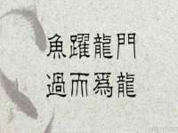上海市杨浦区李浩浩农产品经营部