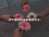 上海市杨浦区李浩浩农产品经营部