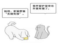 上海市杨浦区李浩浩农产品经营部