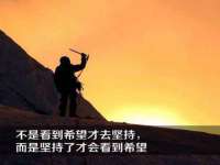 上海市杨浦区李浩浩农产品经营部