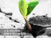 上海市杨浦区李浩浩农产品经营部