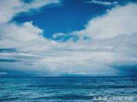 上海市杨浦区李浩浩农产品经营部