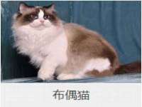 上海市杨浦区李浩浩农产品经营部