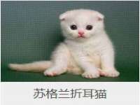 上海市杨浦区李浩浩农产品经营部