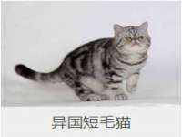 上海市杨浦区李浩浩农产品经营部