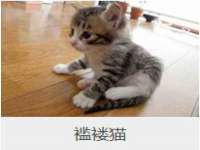 上海市杨浦区李浩浩农产品经营部