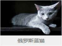 上海市杨浦区李浩浩农产品经营部