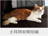 上海市杨浦区李浩浩农产品经营部