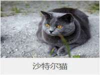 上海市杨浦区李浩浩农产品经营部