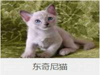 上海市杨浦区李浩浩农产品经营部