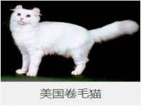 上海市杨浦区李浩浩农产品经营部