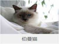上海市杨浦区李浩浩农产品经营部
