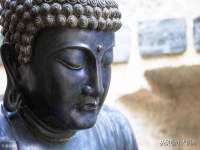 上海市杨浦区李浩浩农产品经营部