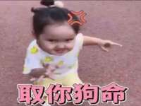 上海市杨浦区李浩浩农产品经营部