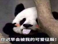 上海市杨浦区李浩浩农产品经营部
