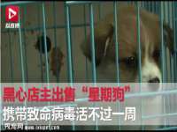 上海市杨浦区李浩浩农产品经营部