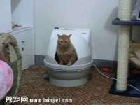 上海市杨浦区李浩浩农产品经营部