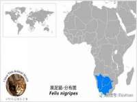 上海市杨浦区李浩浩农产品经营部
