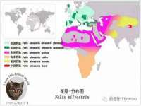 上海市杨浦区李浩浩农产品经营部