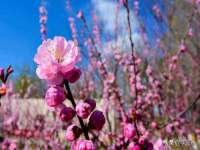 上海市杨浦区李浩浩农产品经营部