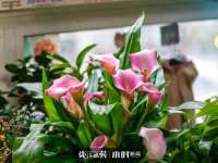 上海市杨浦区李浩浩农产品经营部