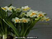 上海市杨浦区李浩浩农产品经营部
