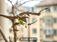 上海市杨浦区李浩浩农产品经营部