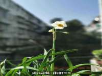 上海市杨浦区李浩浩农产品经营部