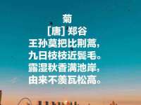 上海市杨浦区李浩浩农产品经营部