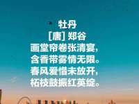 上海市杨浦区李浩浩农产品经营部