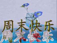 上海市杨浦区李浩浩农产品经营部