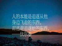 上海市杨浦区李浩浩农产品经营部