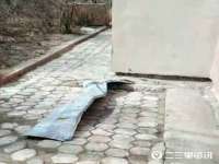 上海市杨浦区李浩浩农产品经营部