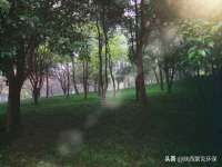 上海市杨浦区李浩浩农产品经营部