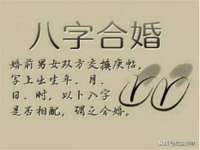 上海市杨浦区李浩浩农产品经营部
