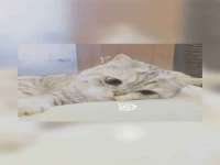 上海市杨浦区李浩浩农产品经营部