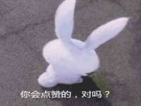上海市杨浦区李浩浩农产品经营部