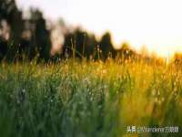 上海市杨浦区李浩浩农产品经营部