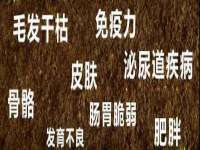 上海市杨浦区李浩浩农产品经营部