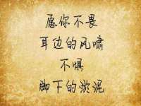 上海市杨浦区李浩浩农产品经营部